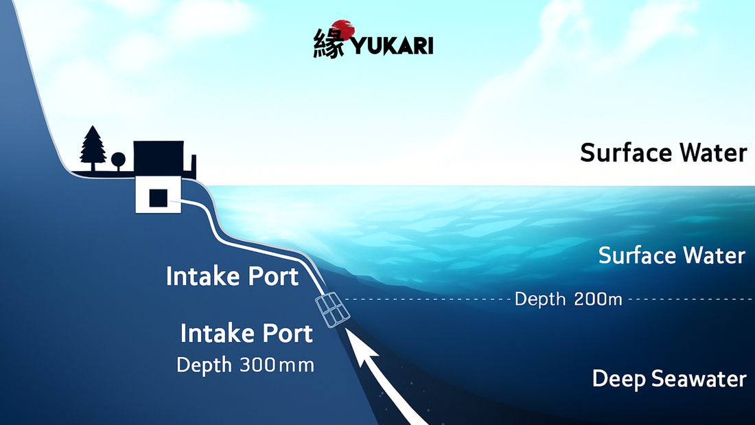 The Secret of Muroto Deep Ocean Water — Why We Use It in Our Skincare