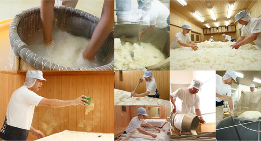 Fermented Rice in Japanese Skincare: Benefits, Sake Tradition, and the Story Behind Yukari From Niigata to Australia — why rice fermentation sits at the heart of our IN/OUT philosophy